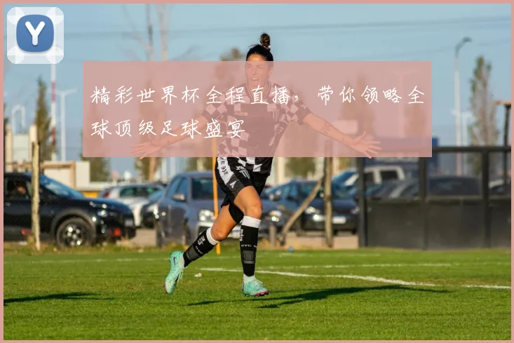 精彩世界杯全程直播，带你领略全球顶级足球盛宴