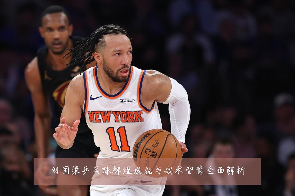 刘国梁乒乓球辉煌成就与战术智慧全面解析