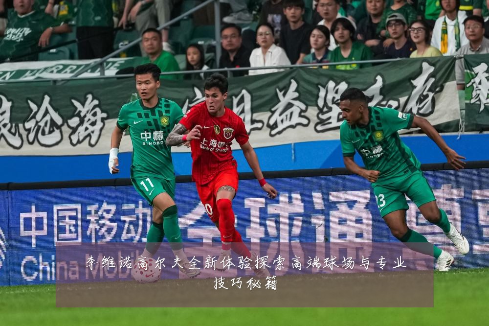 李维诺高尔夫全新体验探索高端球场与专业技巧秘籍