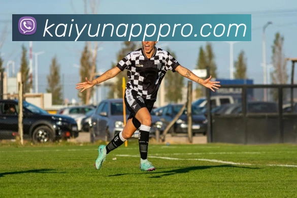 开云平台展示图