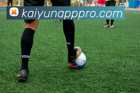 开云娱乐全站App